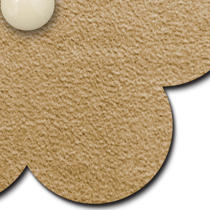 5-Pack: Hard Nip Pasties Dimensional THO Fake Nipple Covers by Pastease