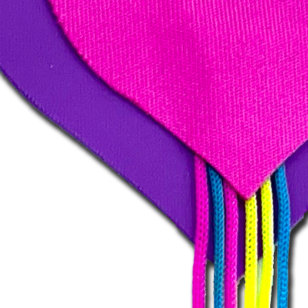 5-Pack: Tassels: Neon Pink & Purple Hearts with Rainbow Tassel Fringe Nipple Covers by Pastease®