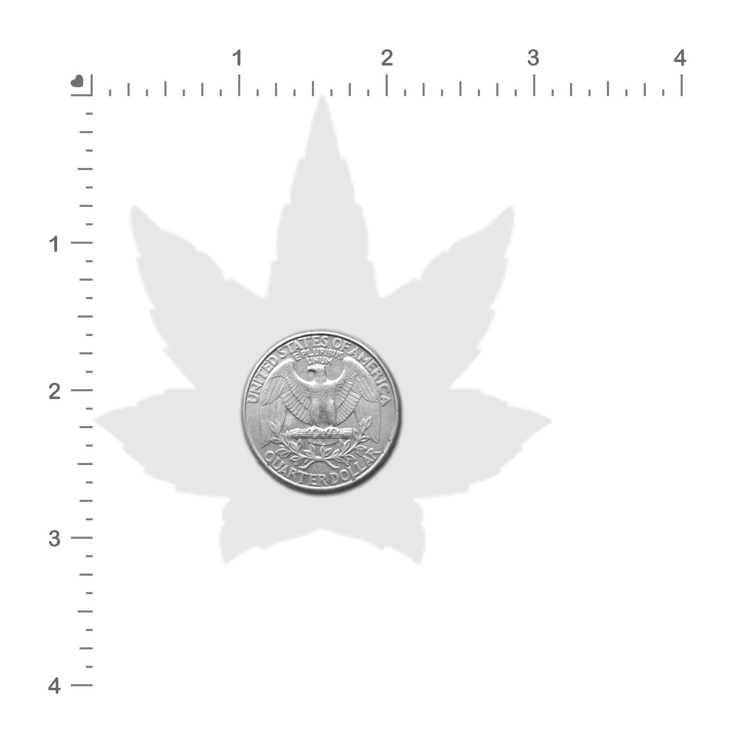 5-Pack: Indica Pot Leaf: Green Weed Nipple Pasties by Pastease® o/s
