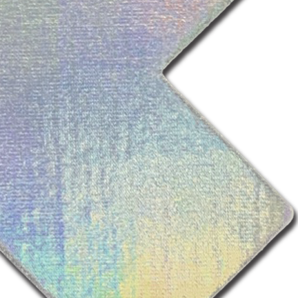 5-Pack: Plus X: Silver Holographic Cross Nipple Pasties by Pastease® o/s