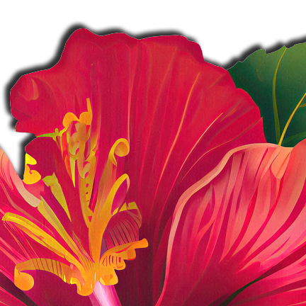 5-Pack: Tropical Vibrant Red Hawaiian Hibiscus Botanical Flower Breast Pasties by Pastease®