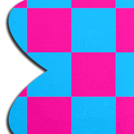 5-Pack: Neon Checkered Pink & Blue Petal Breast Pasties by Pastease®